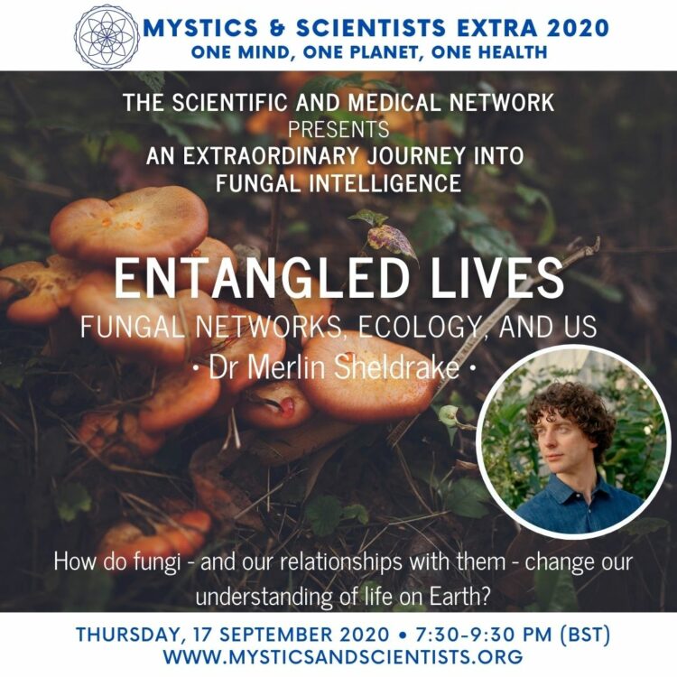 Entangled Lives e1604372652250