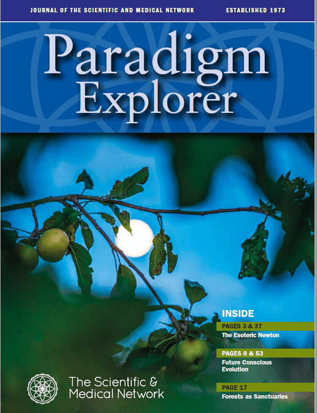 Paradigm Explorer 2018