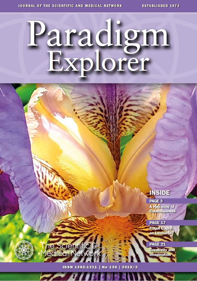 paradigm explorer 130 cover