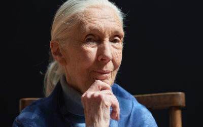 Dr. Jane Goodall Wins 2021 Templeton Prize
