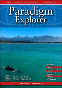 Paradigm Explorer 138
