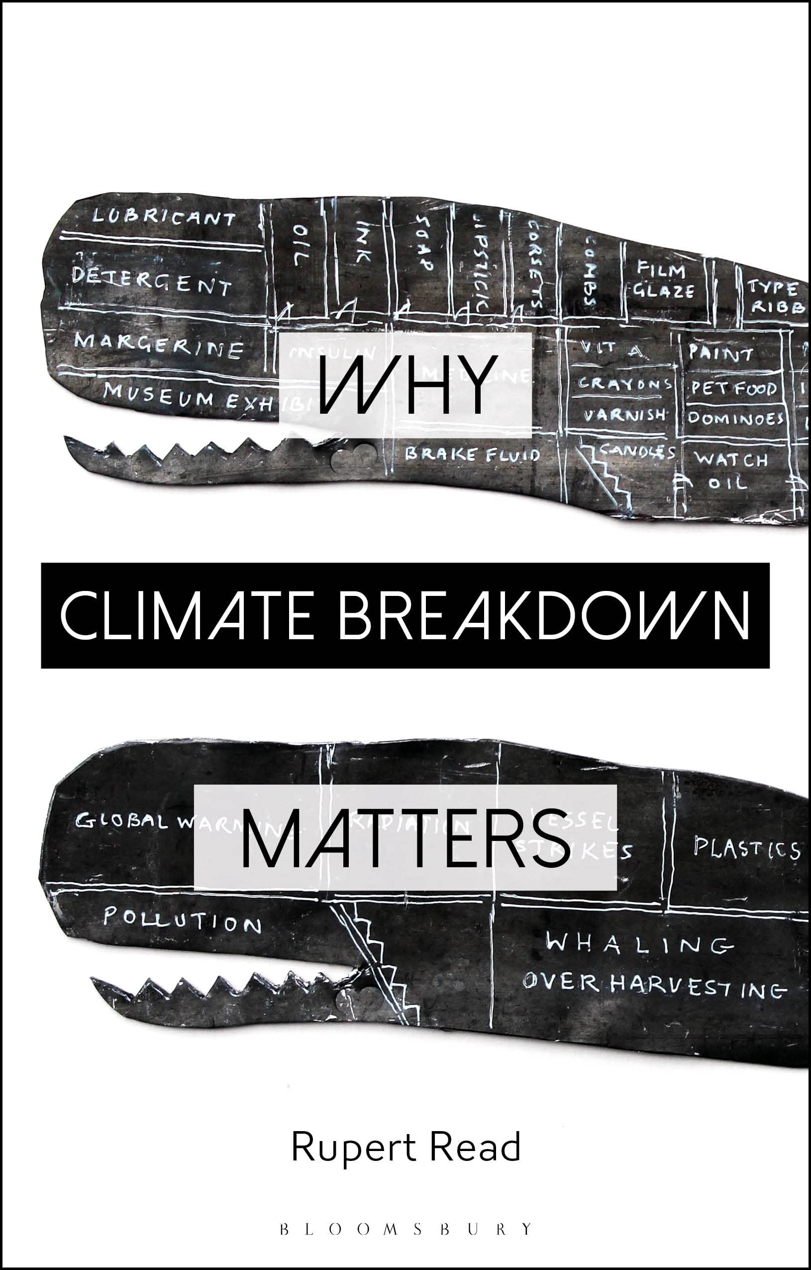 Why Climate Breakdown Matters