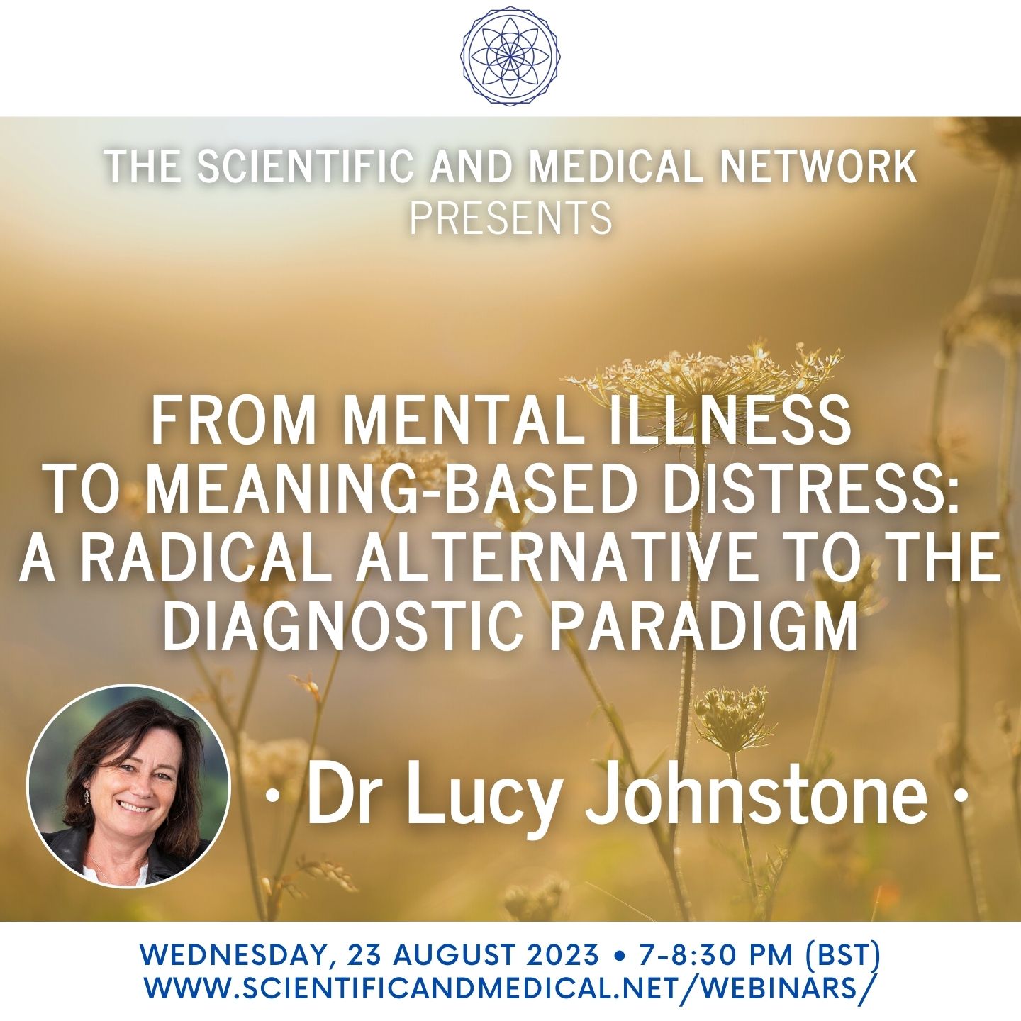 Dr Lucy Johnstone From Mental Illness to Meaning Based Distress A Radical Alternative to the Diagnostic Paradigm