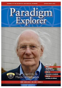 Paradigm Explorer 146