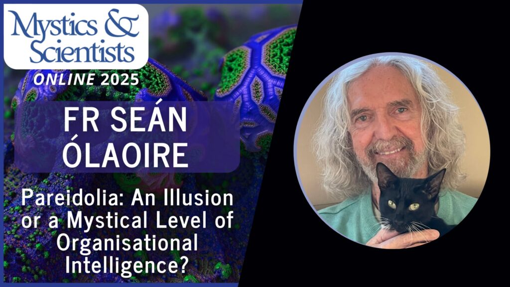 fr sean olaoire pareidolia illusion or a mystical level organisational intelligence saturday mystics and scientists 2025 vimeo thumbnail