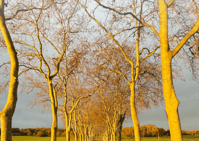 Paradigm Explorer 149