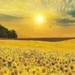 Profile photo of Giti Amirani