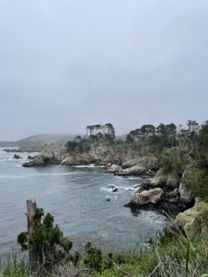 IMG_3177